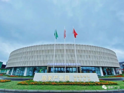 天府糧倉連山鎮 建筑裝飾業的匠心與傳承